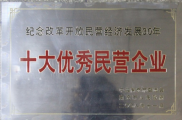 十大优秀民(mín)营企业