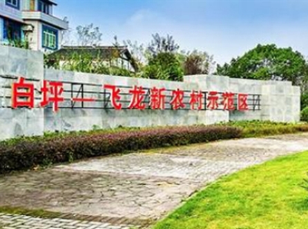 武胜白坪-飞龙新(xīn)农村