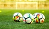 国际足球联合会FIFA合作伙伴Logo - 世界足球管理机构标志